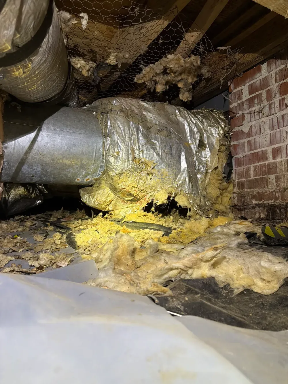 Deteriorated duct insulation hanging loose in a Greenville crawl space