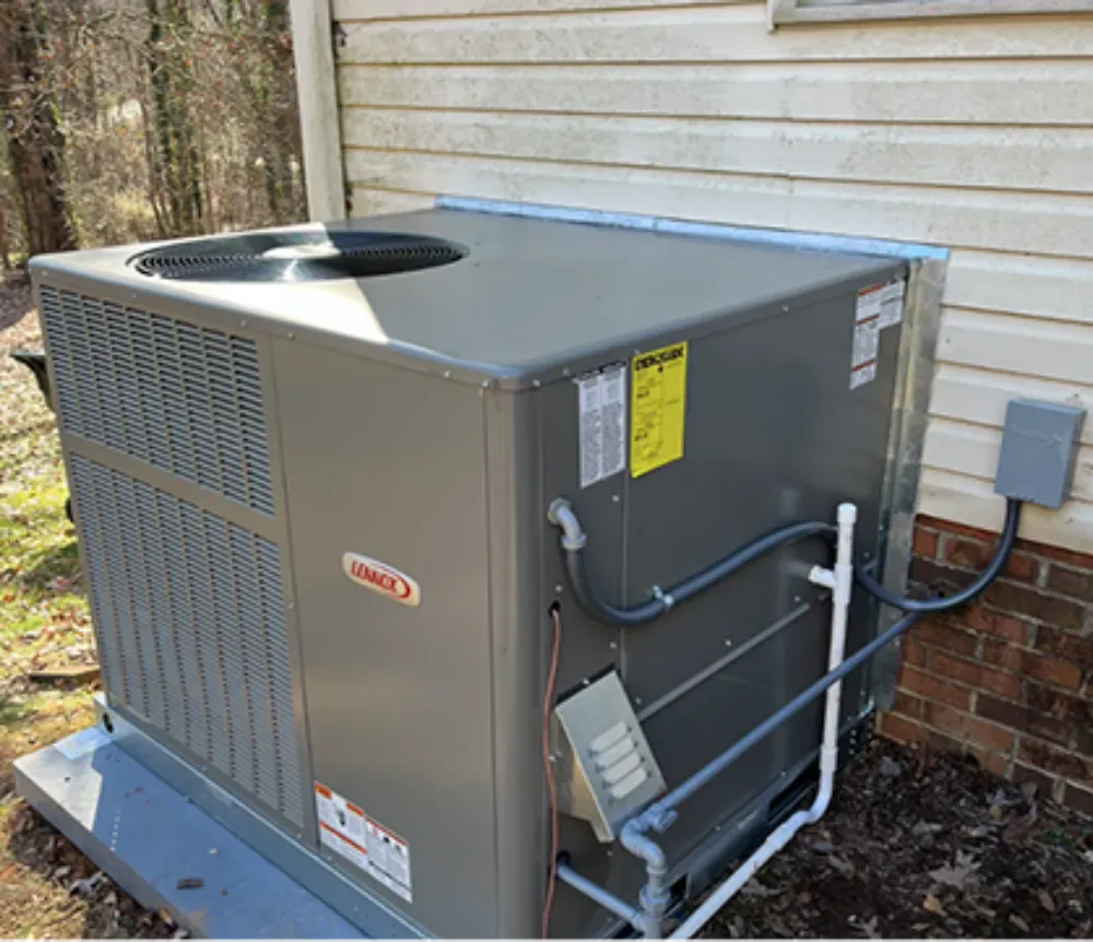A Lennox package unit in the wooded backyard of a Mauldin home